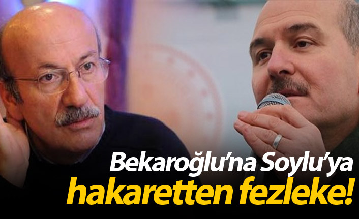 Bekaroğlu'na Soylu'ya hakaretten fezleke!