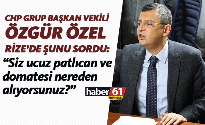 Özgür Özel: "Siz ucuz patlıcan ve domatesi nereden alıyorsunuz?"