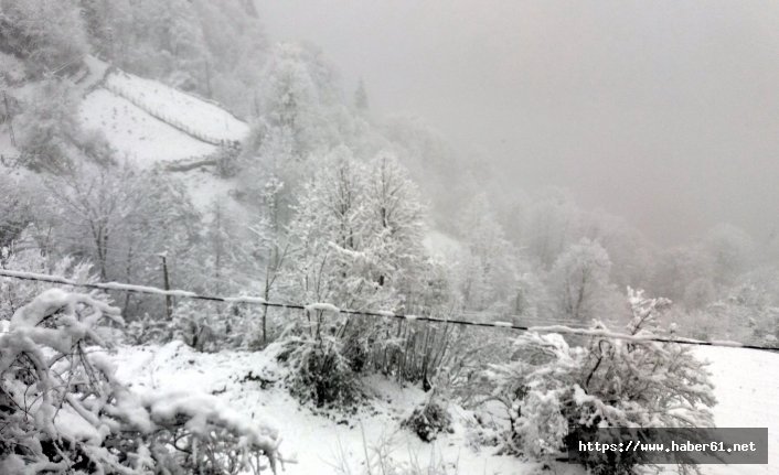 Rize'nin yüksek kesimleri beyaza büründü!