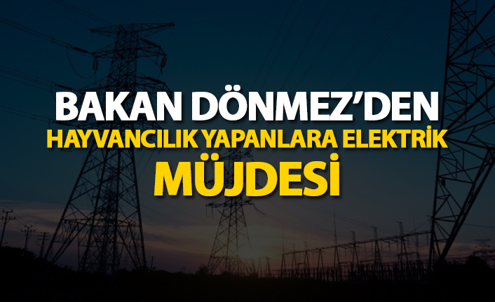 Bakan Dönmez'dan hayvancılık yapanlara elektrik müjdesi