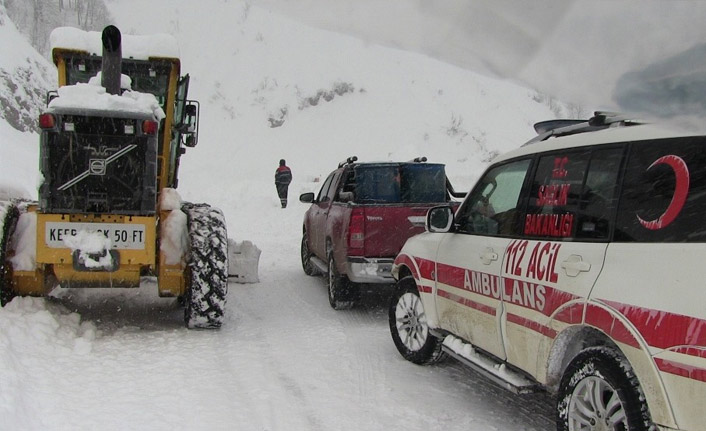 Artvin'de Macahel'i kar vurdu