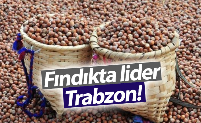 Fındık İhracatının yarısı Trabzon'dan