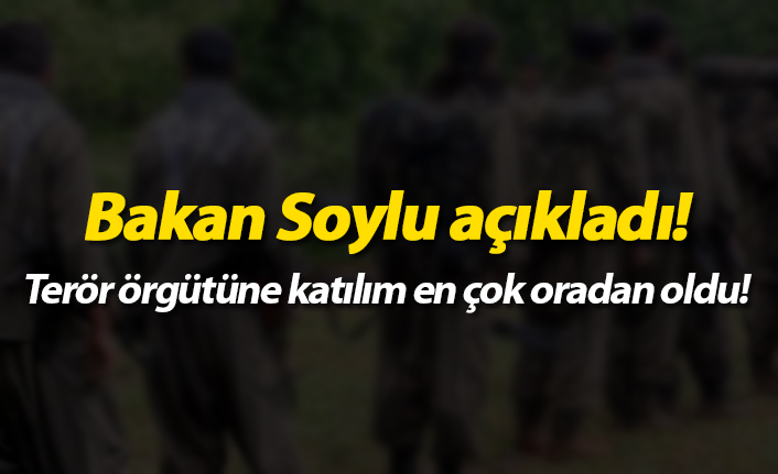 Bakan Soylu açıkladı! PKK'ya katılım en çok oradan oldu!