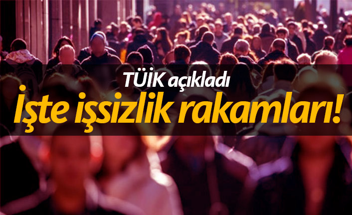 2018 Aralık dönemi işsizlik rakamları açıklandı! - 15 Mart 2019 Cuma