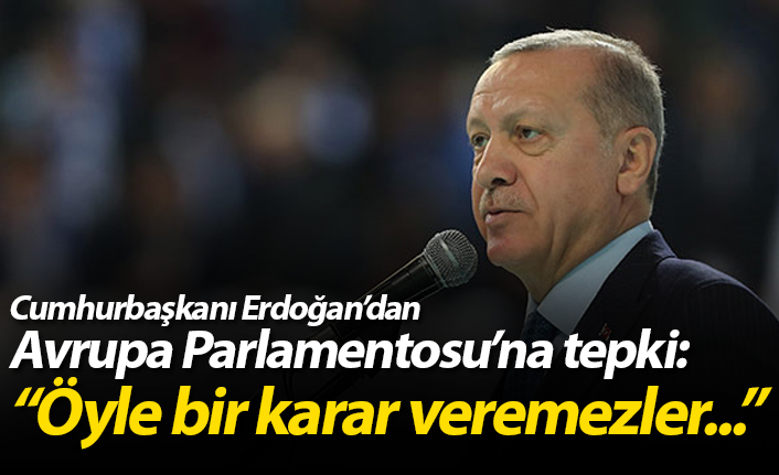 Erdoğan'da Avrupa Parlamentosu'na tepki: "Öyle bir karar veremezler..."