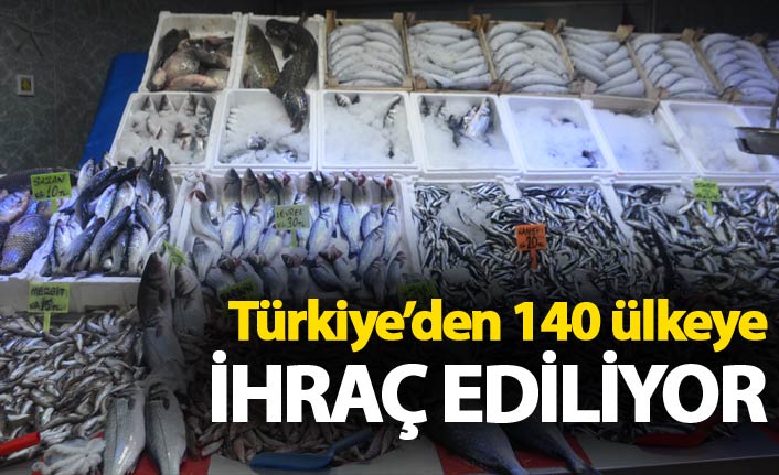 Türkiye'den 140 ülkeye ihraç ediliyor