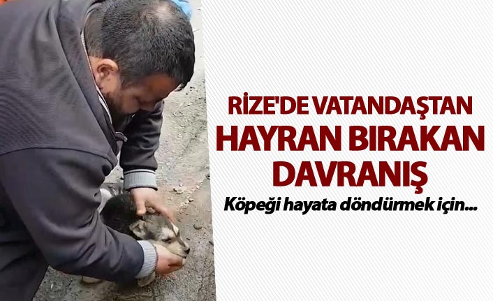 Rize'de vatandaştan hayran bırakan davranış - Köpeği hayata döndürmek için...