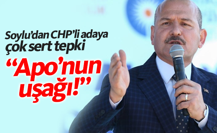 Süleyman Soylu'dan CHP'li adaya çok sert sözler: Apo'nun uşağı