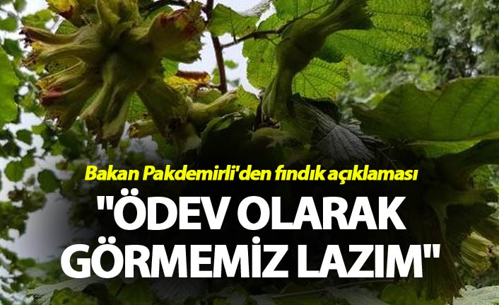 Bakan Pakdemirli'den fındık açıklaması - "Ödev olarak görmemiz lazım"