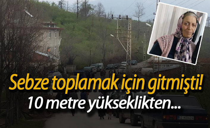 Sebze toplamak isterken canından oldu!