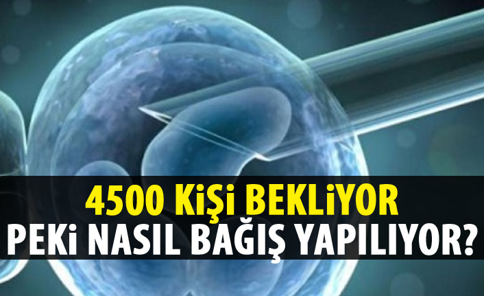 Türkiye’de 4 bin 500 hasta kök hücre nakli bekliyor 