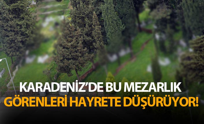 Ordu'da ilginç mezarlık!