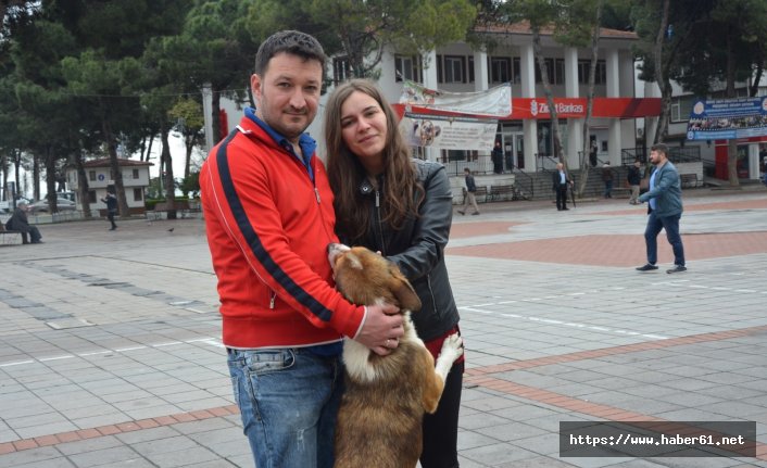 Sokak köpekleri, hayvansever çifte koştu