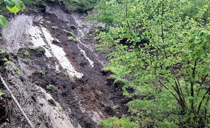 Ordu'da heyelan oldu