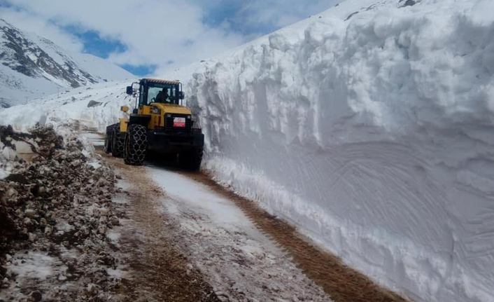 Rize'de karlı yollar açıldı