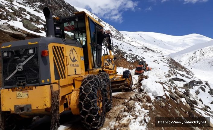 Rize yaylalarında bahar temizliği