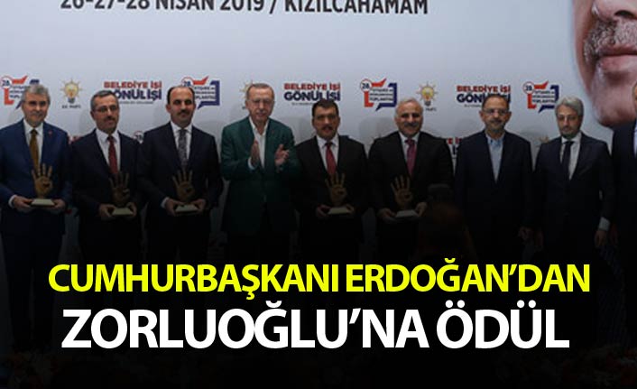 Cumhurbaşkanı Erdoğan Zorluoğlu'na ödül verdi