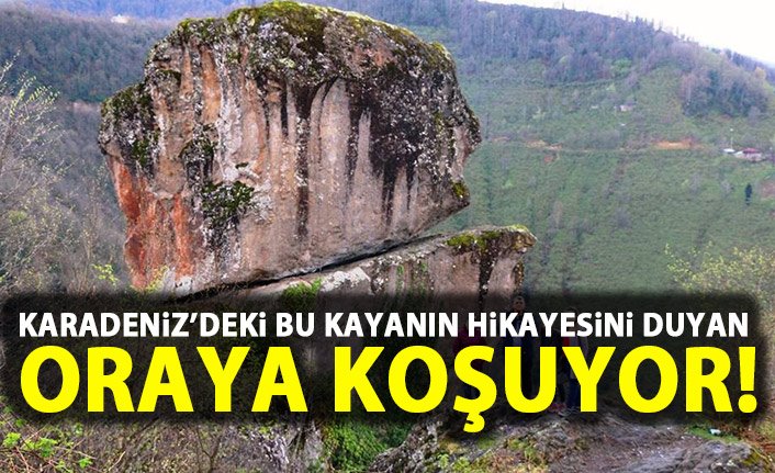 Giresun'daki sıradışı kaya herkesi şaşırtıyor