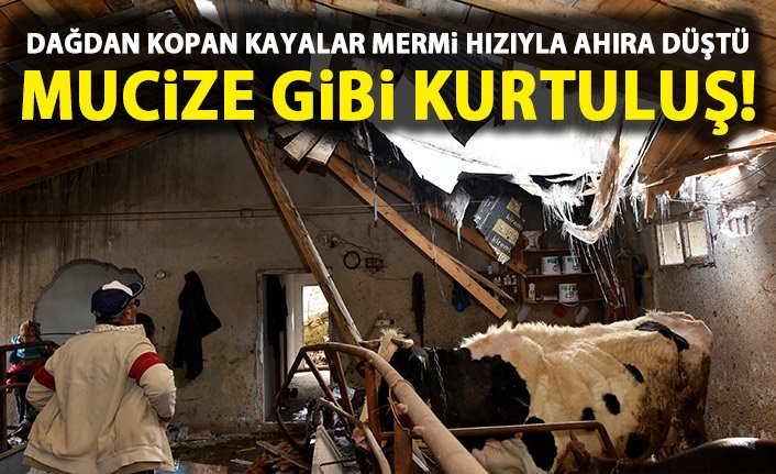 Dağdan kopan kayalar mermi gibi ahırın üzerine düştü