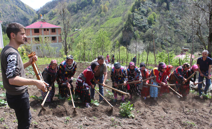 Giresun'da 400 yıllık gelenek yaşatılıyor