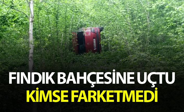 Otomobil fındık bahçesine uçtu - Kaza sabah farkedildi