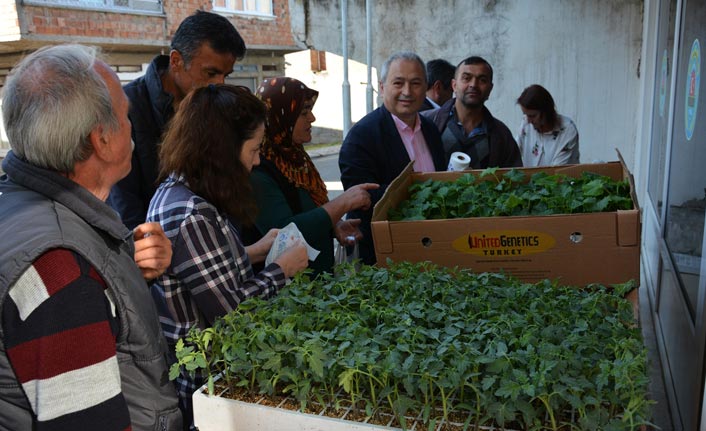 Ordu'da çiftçilere 4 bin sebze fidesi