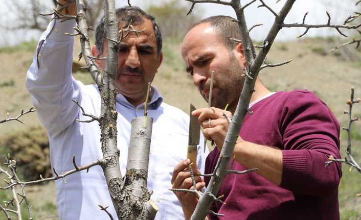 Gümüşhane'de yaban hayvanları unutulmadı