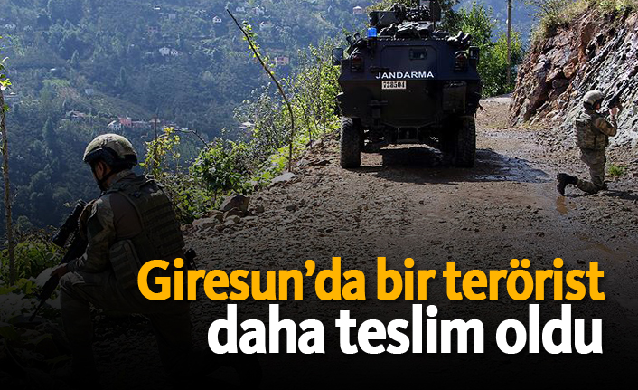 Giresun’da bir terörist daha teslim oldu