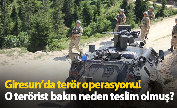 Giresun'da terör operasyonu