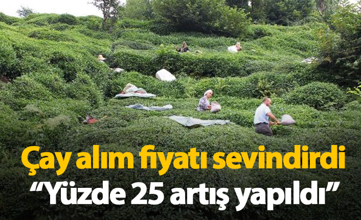 Çay alım fiyatı sevindirdi