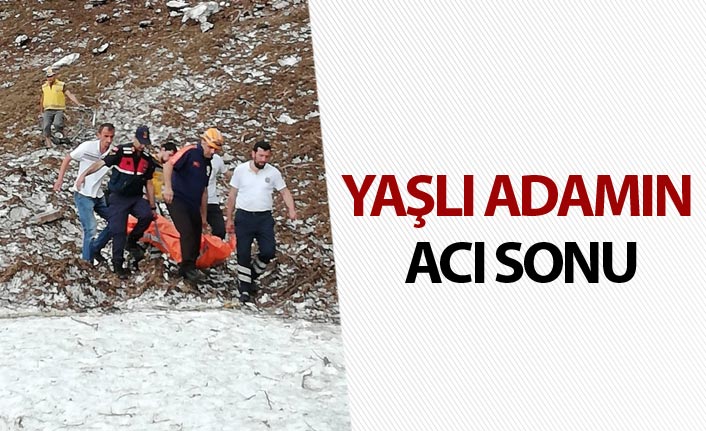 Artvin'de yaşlı adamın acı sonu