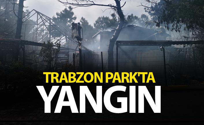 İstanbul Trabzon Park'ta yangın