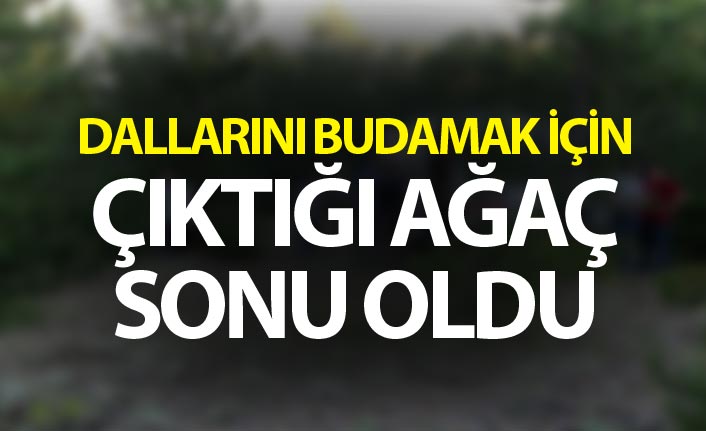 Dallarını budamak için çıktığı ağaç sonu oldu