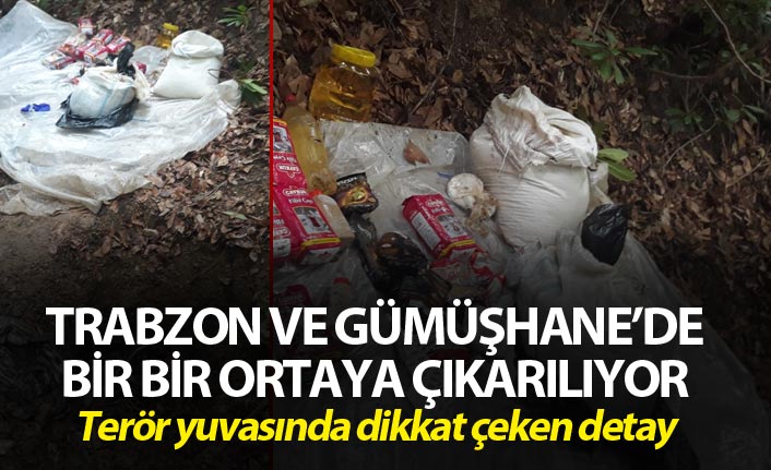 Doğu Karadeniz'deki terör yuvaları bir bir ortaya çıkarılıyor - Dikkat çeken detay