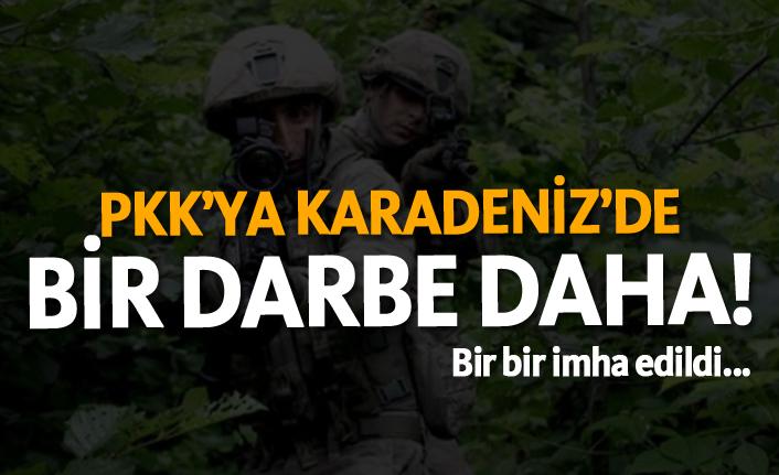 PKK'ya Karadeniz'de bir darbe daha! Bir bir imha edildi...