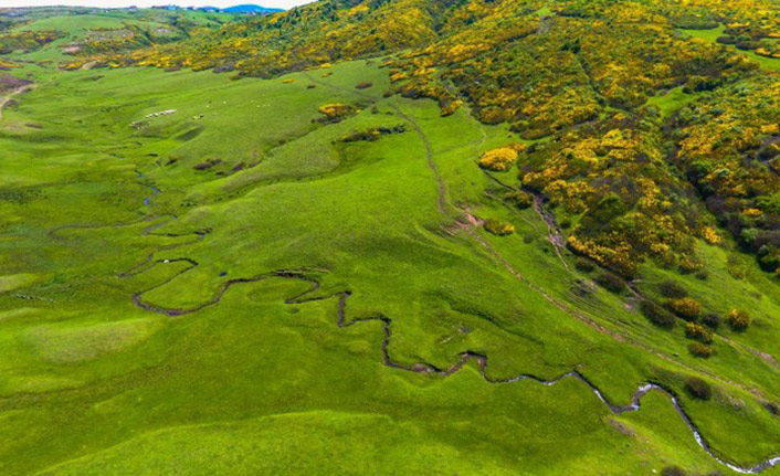 Karadeniz yaylalarından müthiş görüntüler