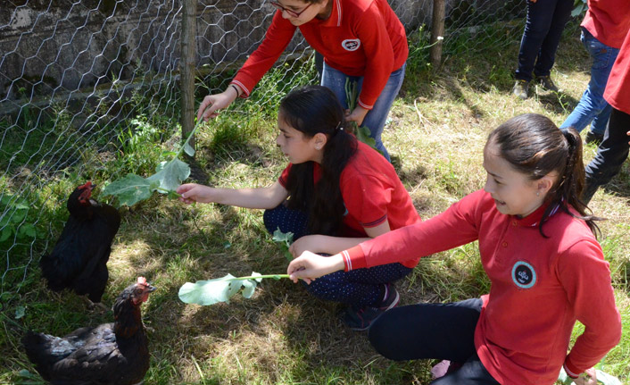 Ordu'da okulda dikkat çeken uygulama