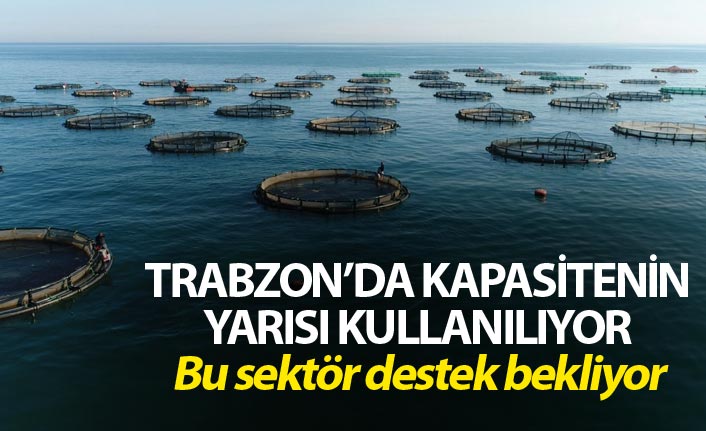 Trabzon'da kapasitenin yarısı kullanılan sektör destek bekliyor