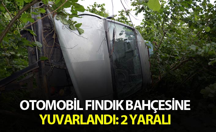 Otomobil fındık bahçesine yuvarlandı: 2 yaralı