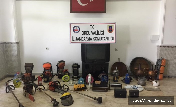 Ordu'da hırsızlık olayları aydınlatıldı