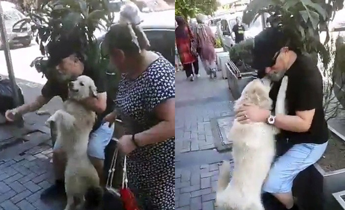 Sahibini gören kayıp köpeğin mutluluğu herkesi duygulandırdı