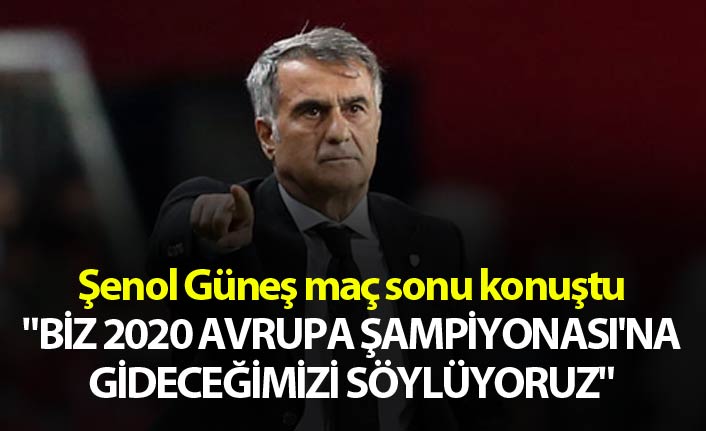 Şenol Güneş: "Biz 2020 Avrupa Şampiyonası'na gideceğimizi söylüyoruz"