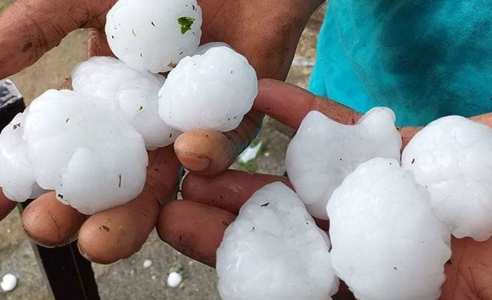 Ordu'daki dolu yağışı hasar bıraktı