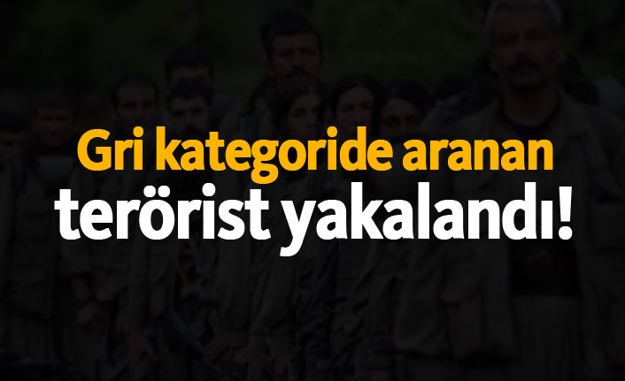 Gri kategoride aranan terörist yakalandı!