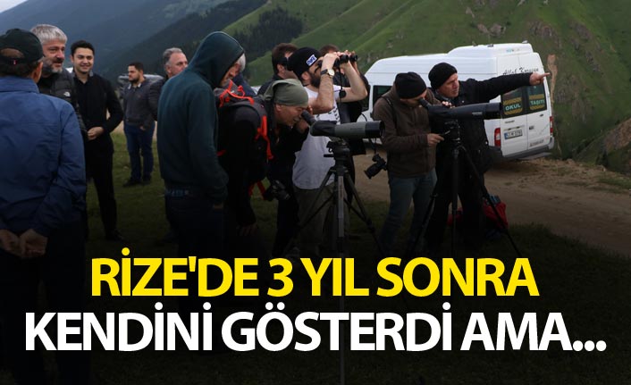 Rize'de 3 yıl sonra kendini gösterdi ama...