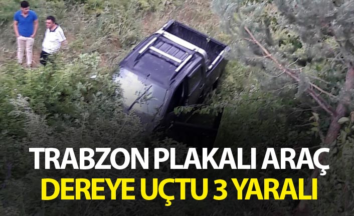 Trabzon plakalı araç dereye uçtu - 3 yaralı