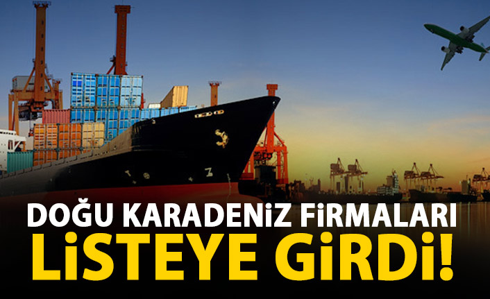 Türkiye'nin ilk bini arasında 11 Doğu Karadeniz firması