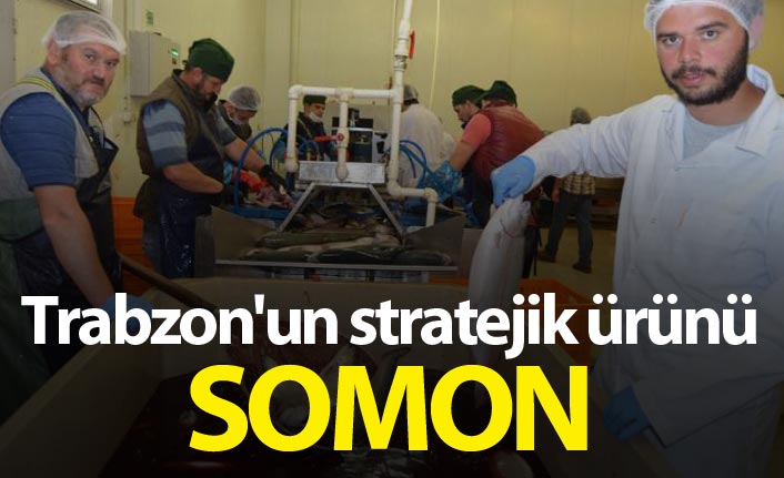 Trabzon'un stratejik ürünü: Somon