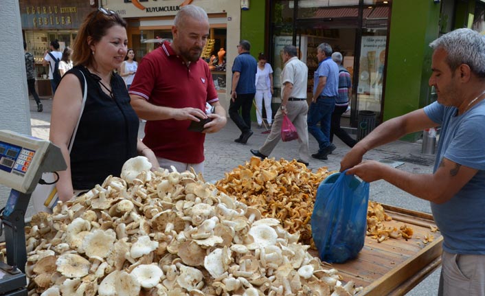 Tirmit mantarı tezgahlardaki yerini aldı