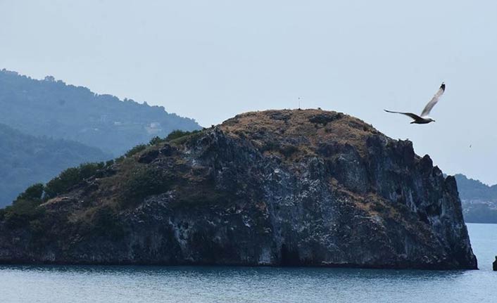 'Sakin şehrin' adası kuşlarıyla ilgi çekiyor